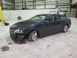 2014 Lexus ES 300H en venta en Lawrenceburg, KY