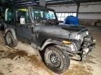 1994 Jeep Wrangler / YJ S