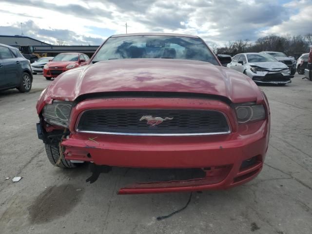 2013 Ford Mustang