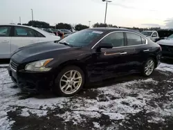 Salvage cars for sale at East Granby, CT auction: 2010 Nissan Maxima S