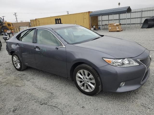 2014 Lexus ES 300H