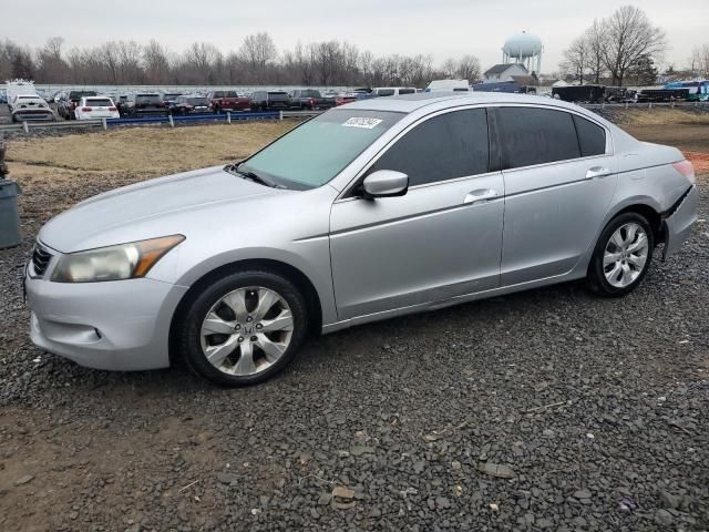 2010 Honda Accord EXL