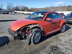 Salvage cars for sale at auction: 2019 Volkswagen Beetle SE