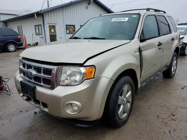 2010 Ford Escape XLT