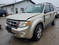 2010 Ford Escape XLT en venta en Pekin, IL