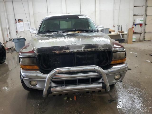 2001 Dodge Dakota