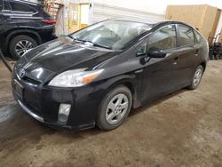 Toyota salvage cars for sale: 2010 Toyota Prius