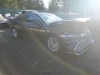 2019 Toyota Avalon XLE