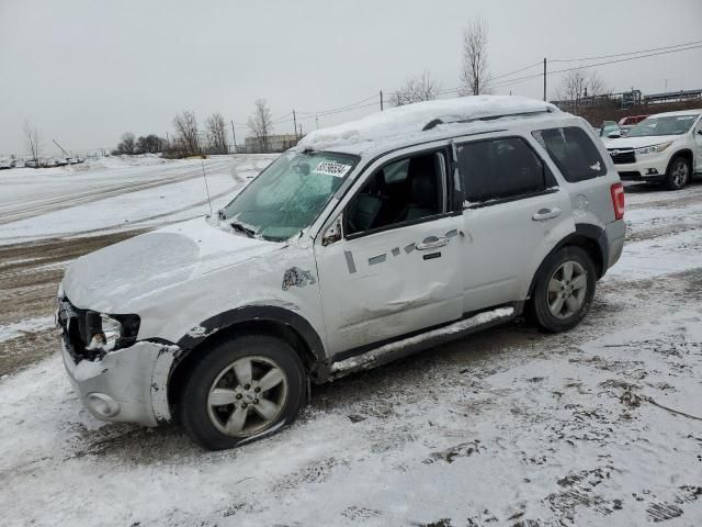 2010 Ford Escape Limited