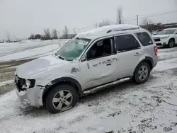 2010 Ford Escape Limited en venta en Montreal Est, QC