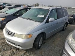 Carros salvage a la venta en subasta: 2004 Honda Odyssey EX