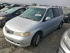 2004 Honda Odyssey EX