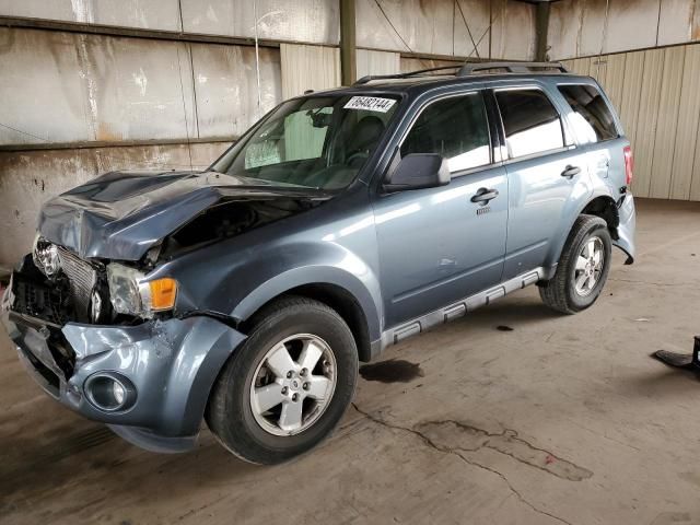 2011 Ford Escape XLT