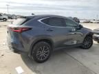 2024 Lexus NX 250 Premium