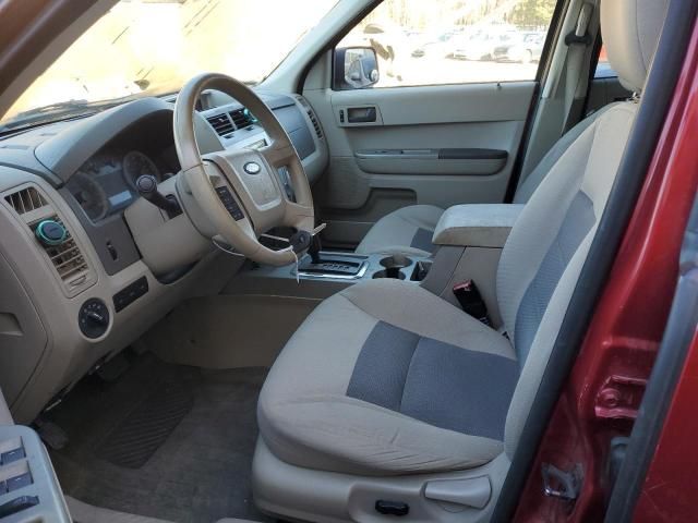 2008 Ford Escape XLT