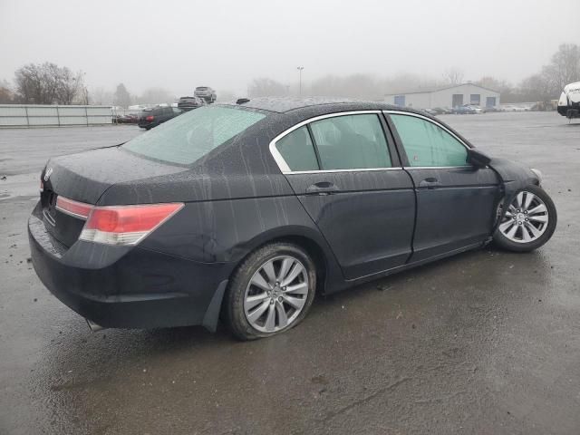 2011 Honda Accord EXL