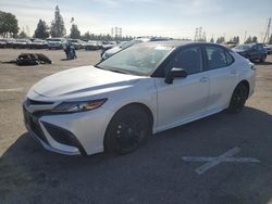 Salvage cars for sale at auction: 2022 Toyota Camry XSE