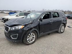 Salvage cars for sale at Lawrenceburg, KY auction: 2017 KIA Sorento LX