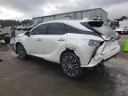 2024 Lexus RX 350 Base