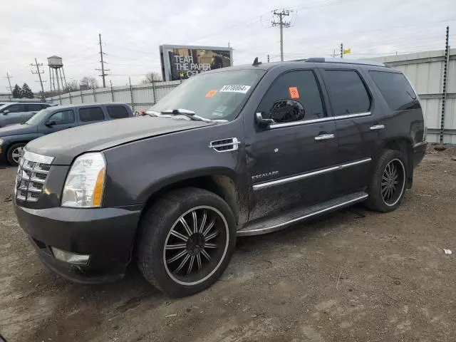 2010 Cadillac Escalade Luxury