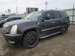 Cadillac Vehiculos salvage en venta: 2010 Cadillac Escalade Luxury