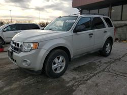 Salvage cars for sale at auction: 2009 Ford Escape XLT