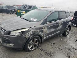 2013 Ford Escape SE en venta en Cahokia Heights, IL