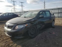 Salvage cars for sale at Elgin, IL auction: 2010 Toyota Corolla Base