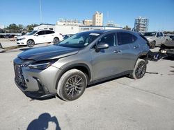 Lexus nx 350 pre Vehiculos salvage en venta: 2024 Lexus NX 350 Premium