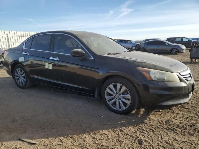 2011 Honda Accord EXL