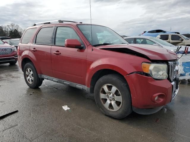 2010 Ford Escape Limited