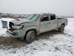 Salvage cars for sale at Helena, MT auction: 2023 Toyota Tacoma Double Cab