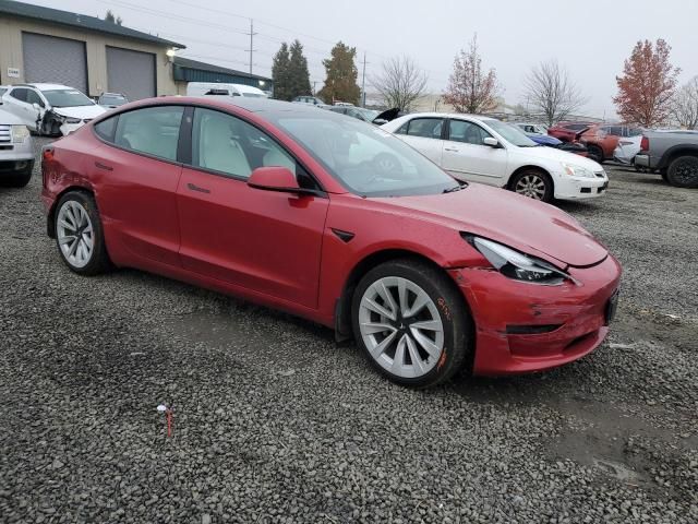 2021 Tesla Model 3