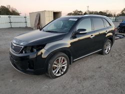 Salvage cars for sale at Newton, AL auction: 2014 KIA Sorento SX