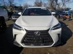 2022 Lexus NX 350