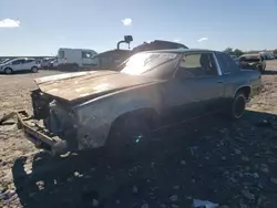 Salvage cars for sale at New Orleans, LA auction: 1981 Oldsmobile Cutlass Supreme