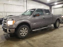 Ford salvage cars for sale: 2013 Ford F150 Supercrew