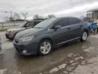 2011 Lexus HS 250H