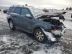 2008 Ford Escape Limited