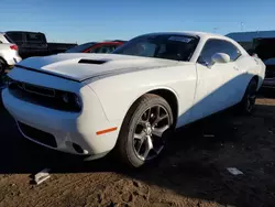 Salvage cars for sale at Brighton, CO auction: 2019 Dodge Challenger SXT