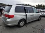 2008 Honda Odyssey EXL