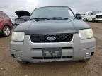 2001 Ford Escape XLT