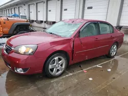 2007 Chevrolet Malibu LTZ en venta en Louisville, KY