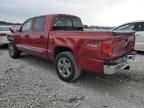 2010 Dodge Dakota Laramie