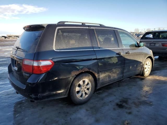 2005 Honda Odyssey EXL