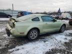 2005 Ford Mustang