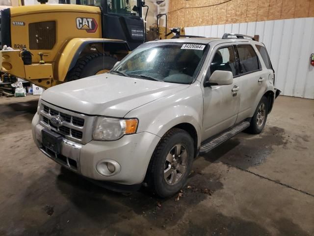 2009 Ford Escape Limited