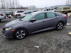 Salvage cars for sale at Arlington, WA auction: 2019 Honda Civic LX