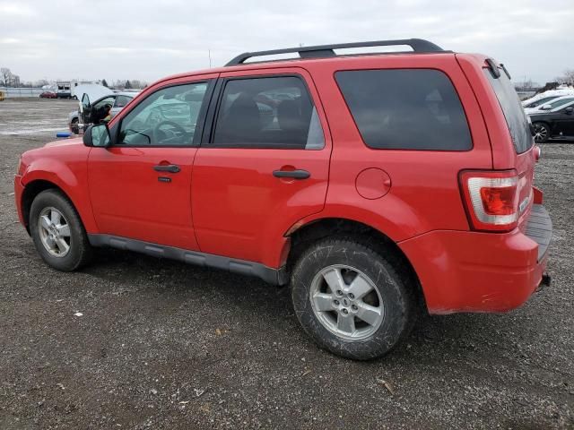 2009 Ford Escape XLT