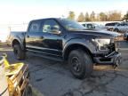 2018 Ford F150 Raptor